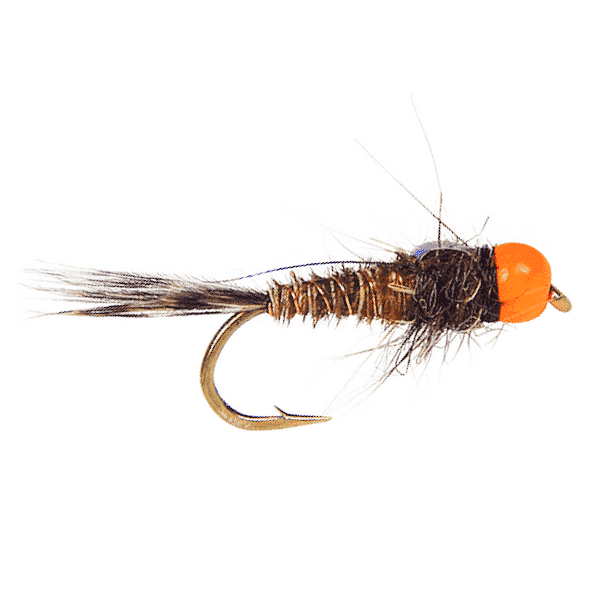 Best Attractor Fly Fishing Flies For Trout - The Fly Crate
