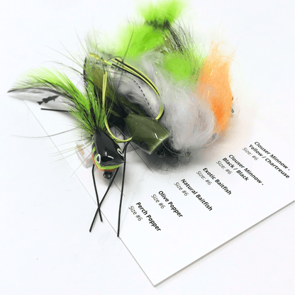 Summer Baitfish Assortment