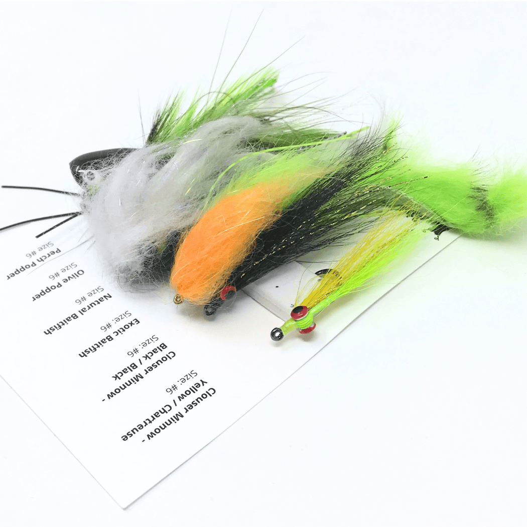 Summer Baitfish Assortment