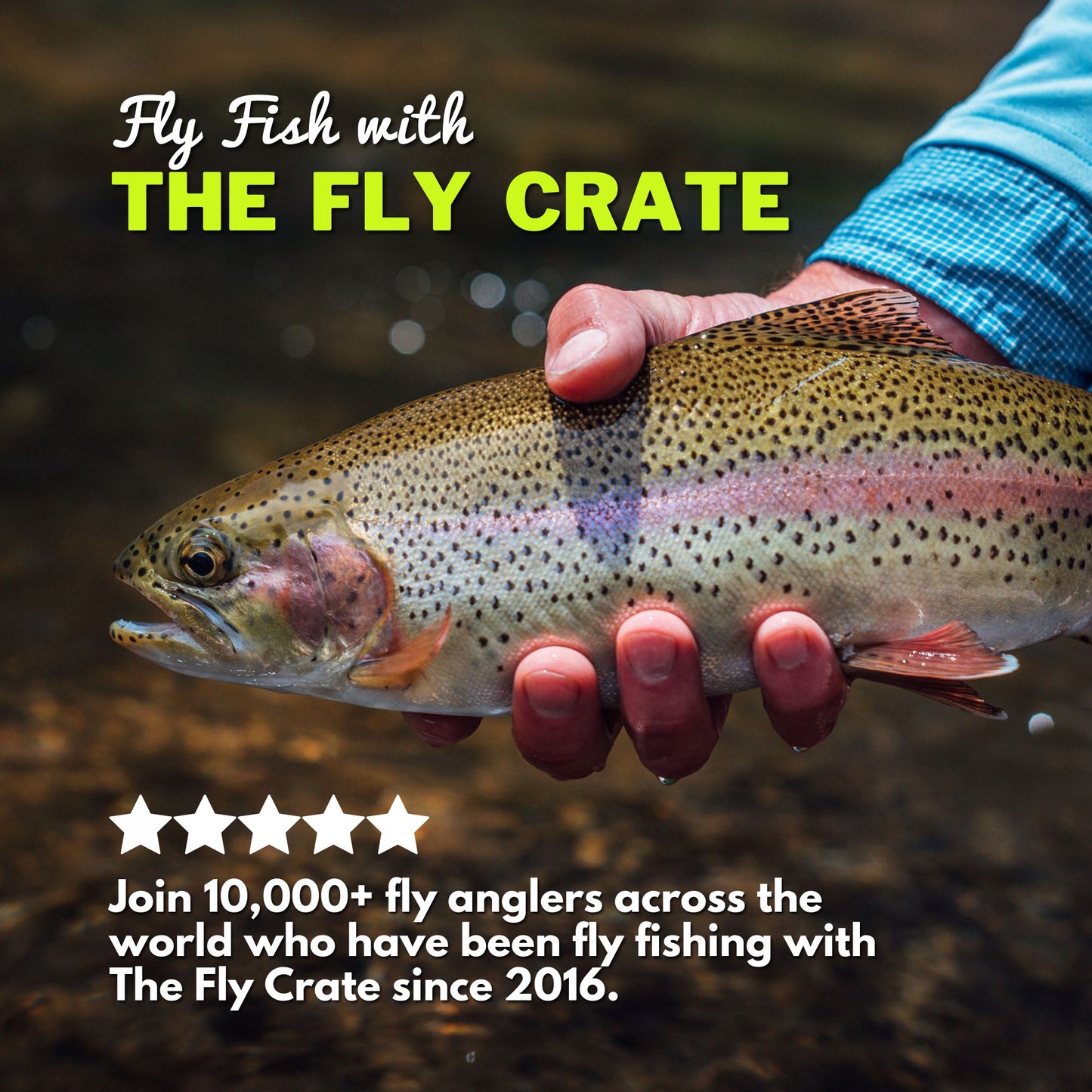 Tungsten Woolly Bugger 24 Pack