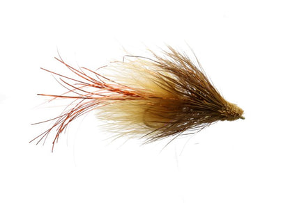 Austin Adduci's Compilation