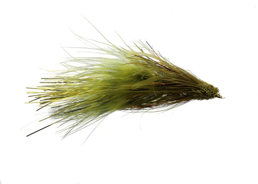 Austin Adduci's Compilation