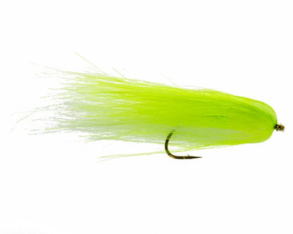 Austin Adduci's Chew Toy