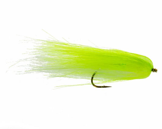 Austin Adduci's Chew Toy