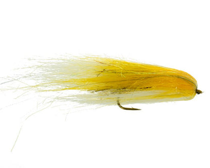 Austin Adduci's Chew Toy