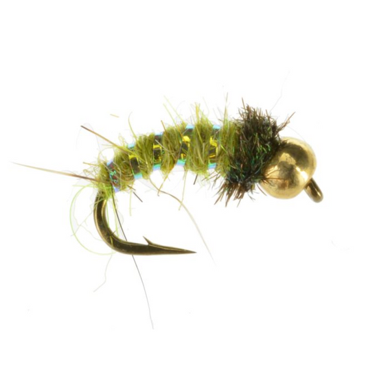 Bead Head Caddis Pupa