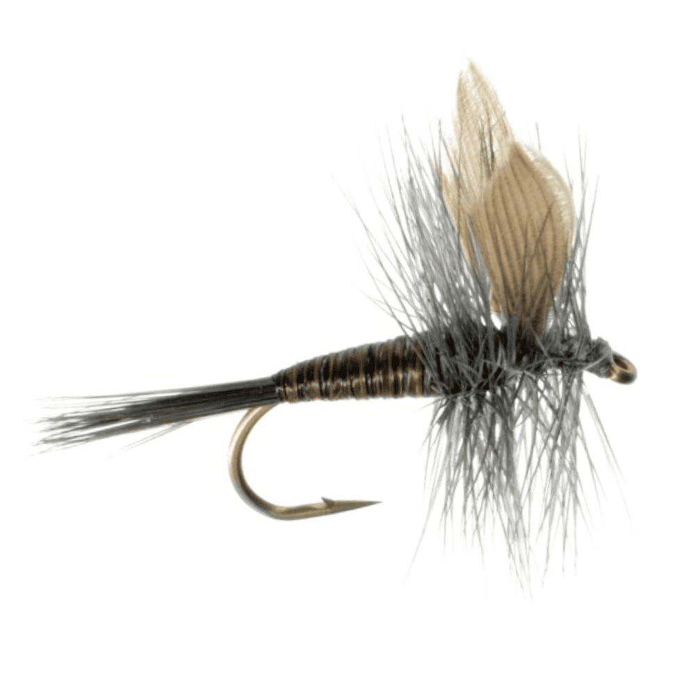 Fry Quill Collections – The Fly Crate