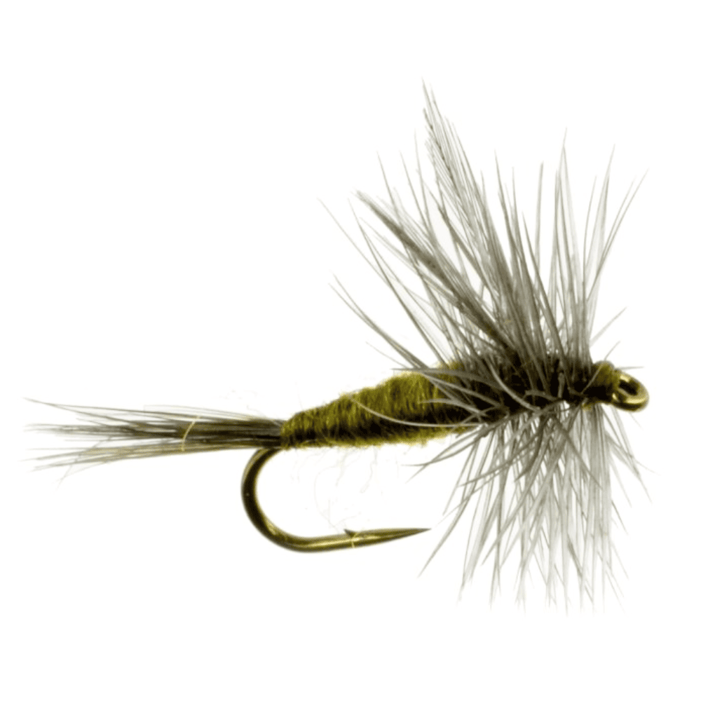 Mayfly Patterns – The Fly Crate