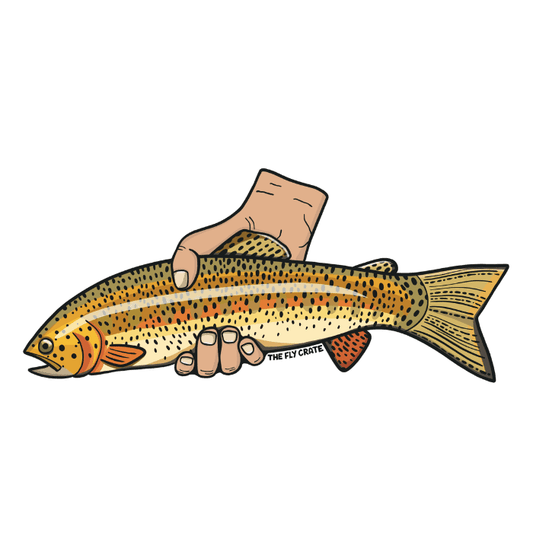 Bright Cutthroat Trout Sticker