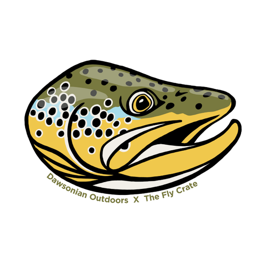 Brown Trout Head Sticker