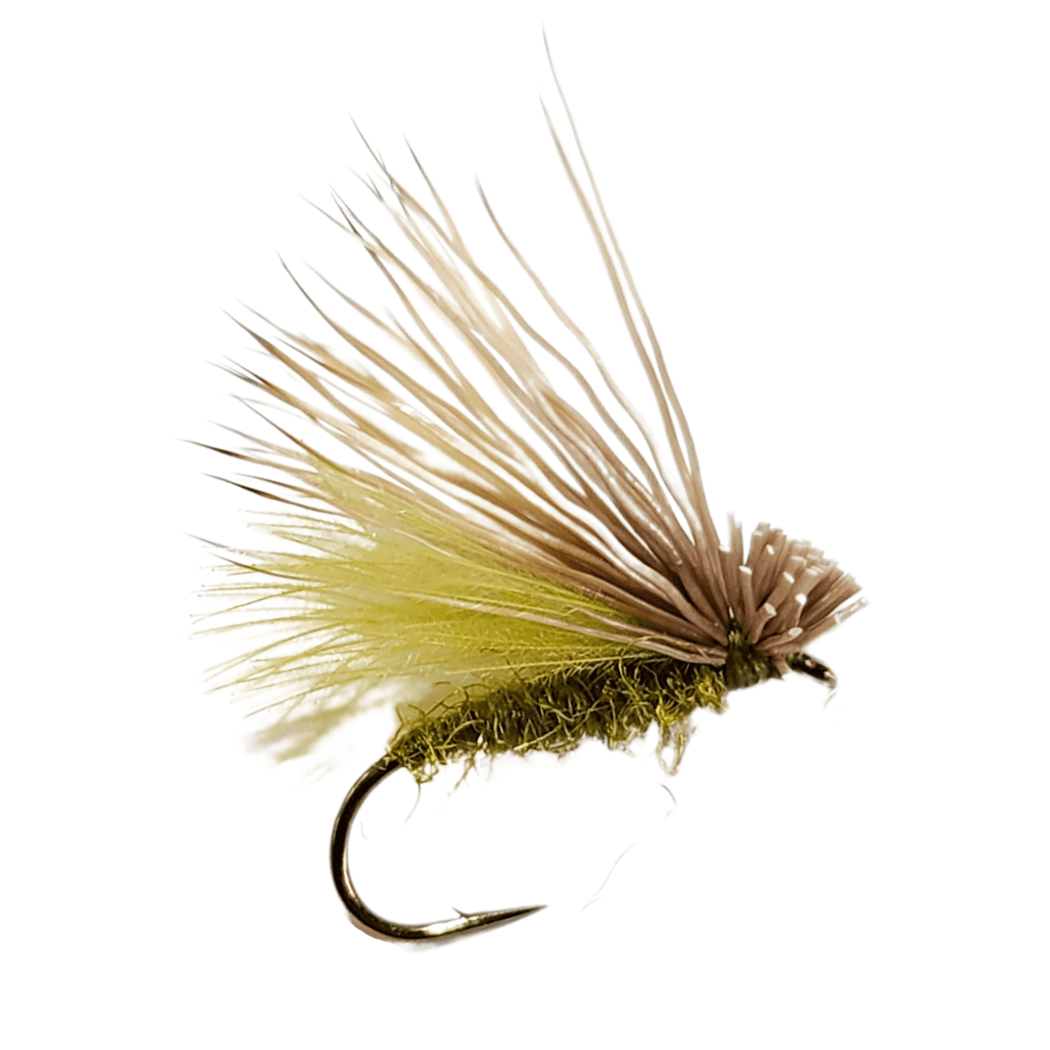 CDC Elk Hair Caddis / Dry Fly for Trout Fly Fishing - The Fly Crate