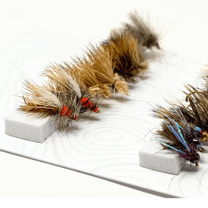 Caddis Life Cycle Assortment