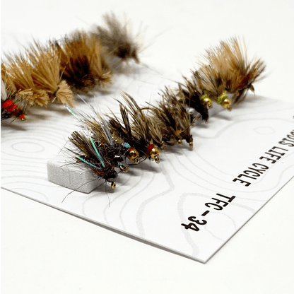 Caddis Life Cycle Assortment