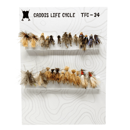 Caddis Life Cycle Assortment