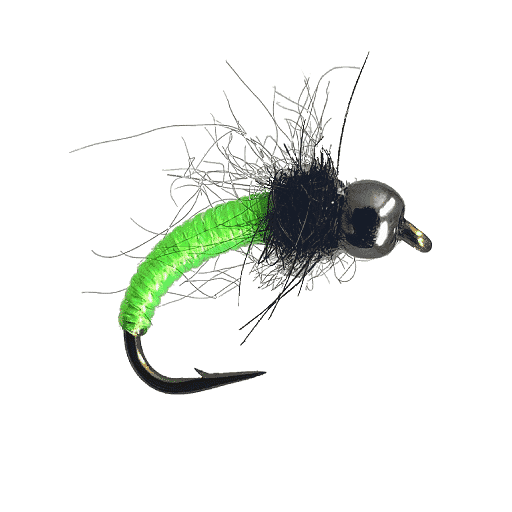 Caddis Pupa