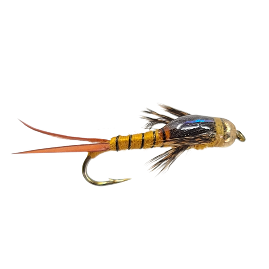 Double Golden Tungsten Stonefly