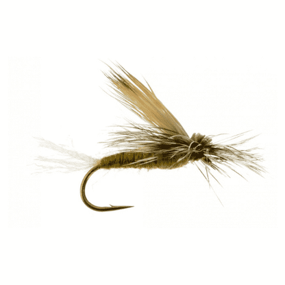 EC Caddis