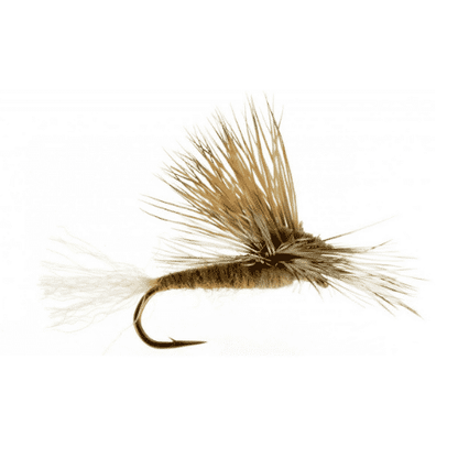 EC Caddis