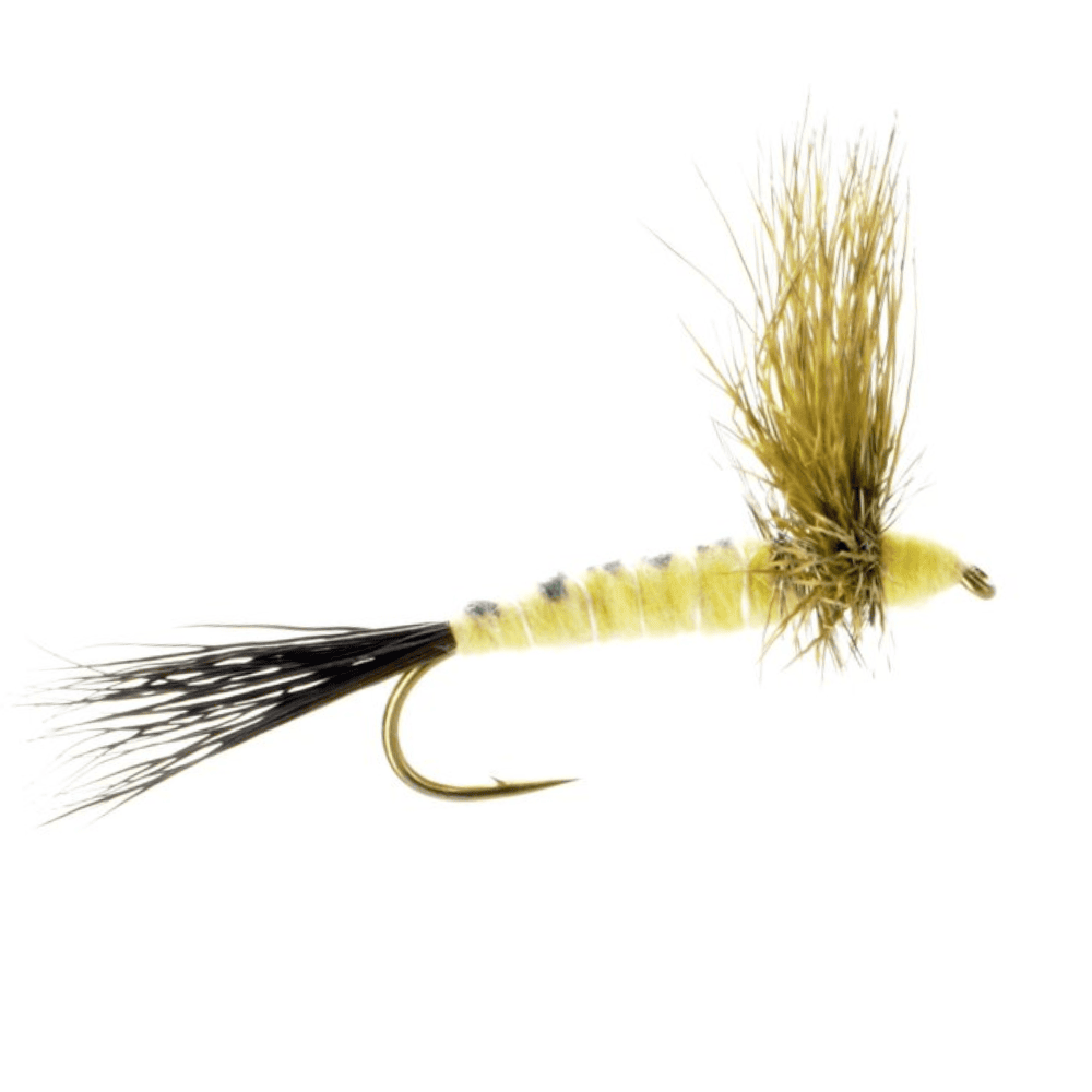 Eastern Drake Patterns Eastern Green Drake Comparadun / Dry Fly / The Fly Crate