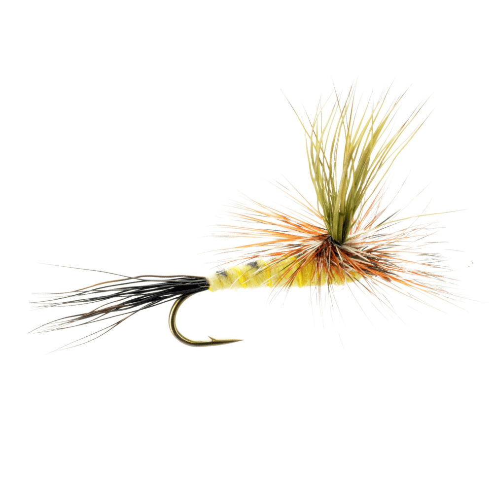 Eastern Drake Patterns Eastern Green Drake / Dry Fly / The Fly Crate