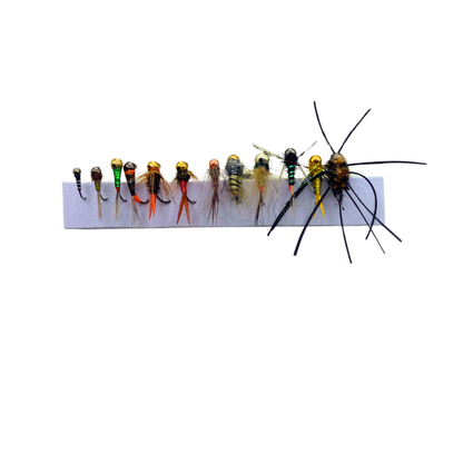 12 Euro Fly Assortment