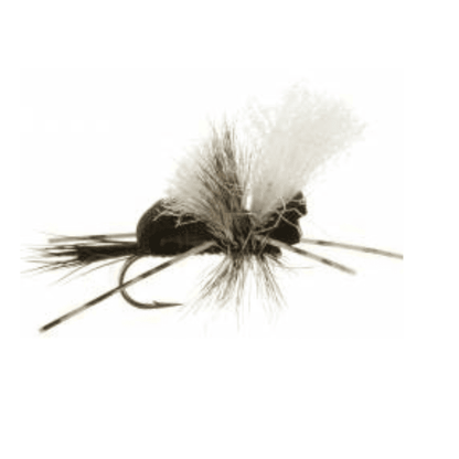 Sei Mosche Per Pesca A Mosca – Lime Hippie Stomper (Pearl Belly) Taglia #14 – Per Trota E Bass