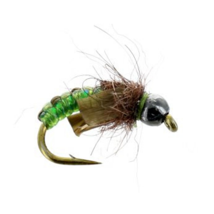 Newbury's Little Caddis Pupa