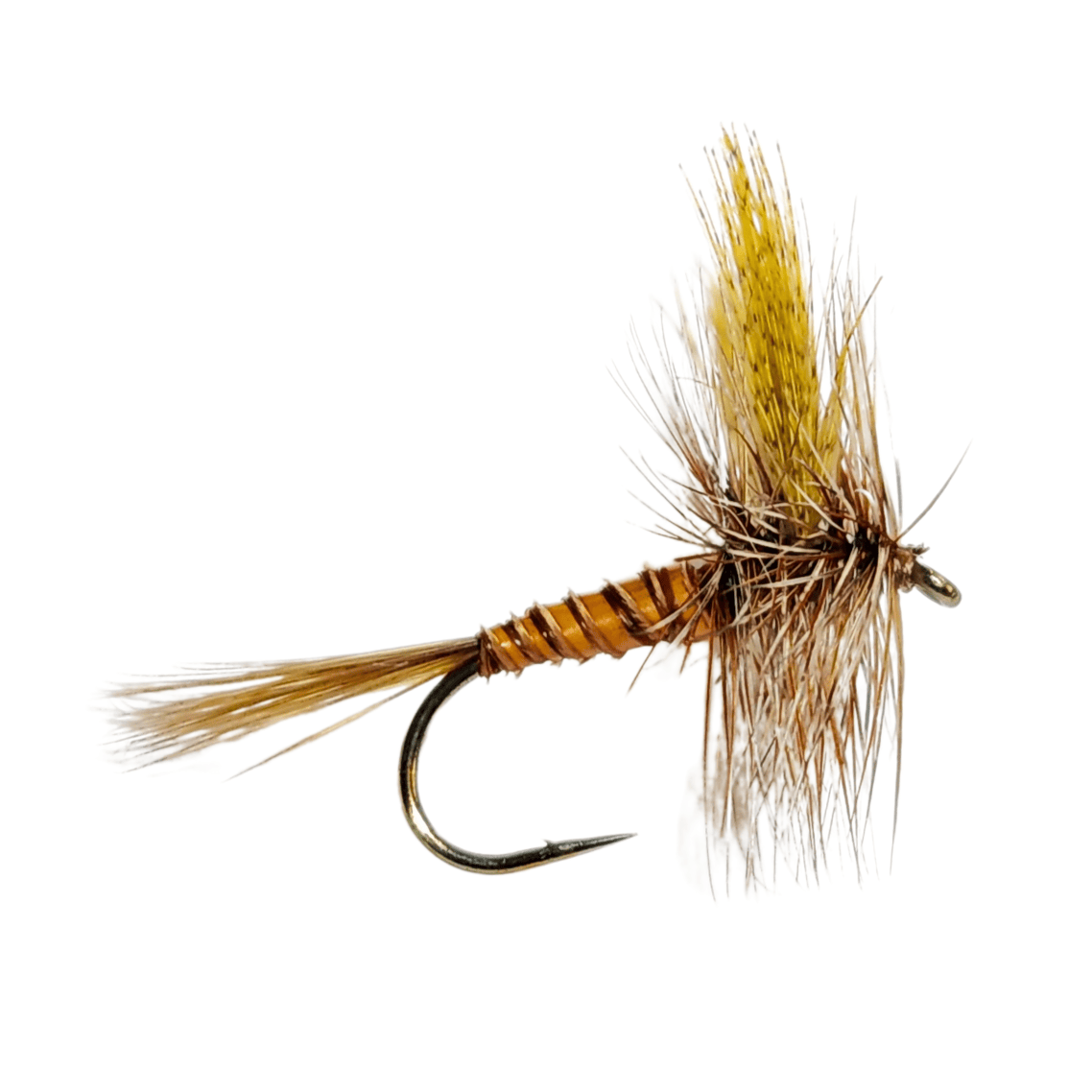 Western March Brown