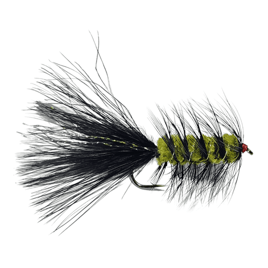 Woolly Bugger