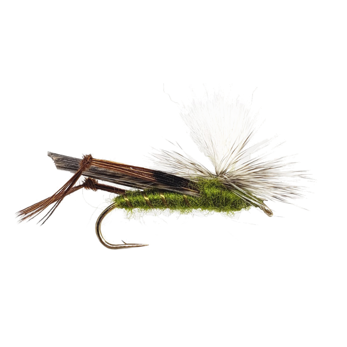 Best Attractor Fly Fishing Flies For Trout - The Fly Crate