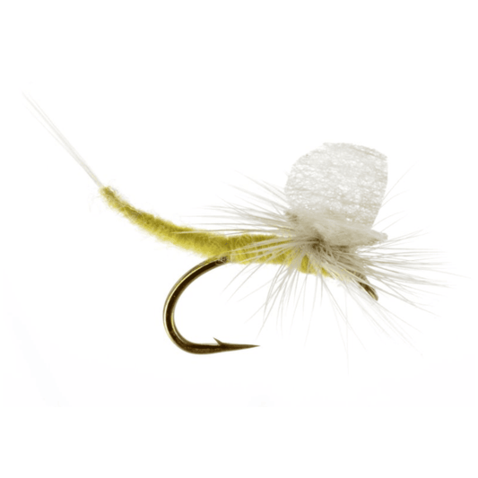 Pmd Insect PMD Flies – The Fly Crate