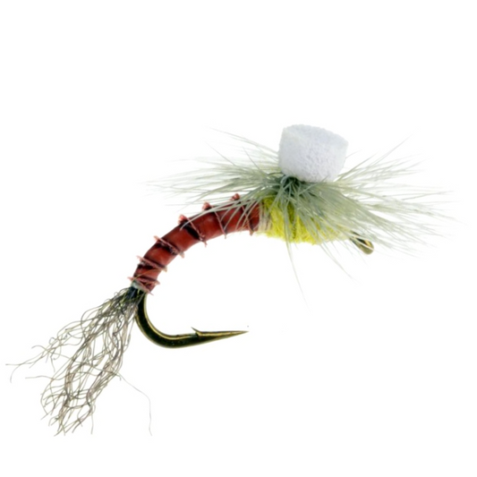 PMD Foam Para Emerger