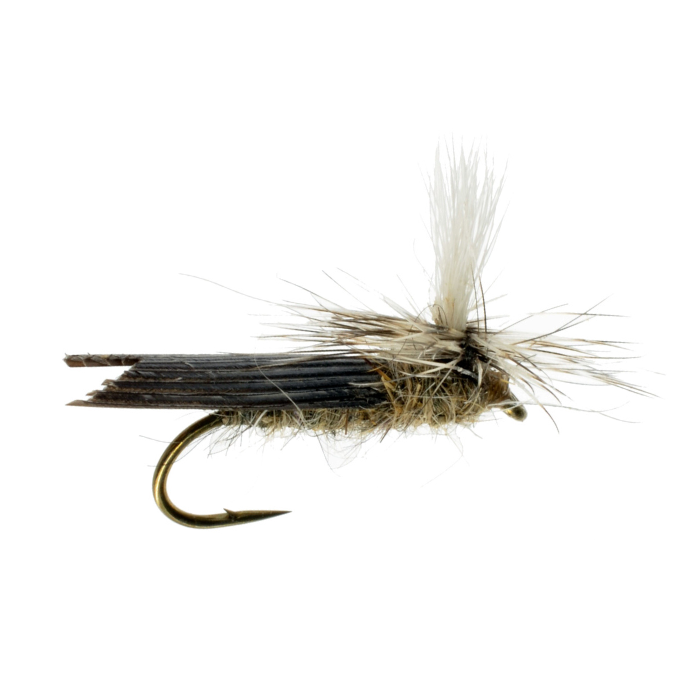 Parachute Caddis