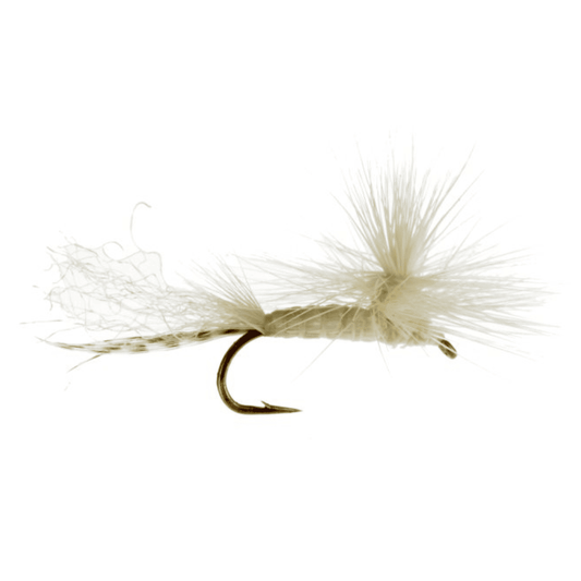 Parachute White Fly