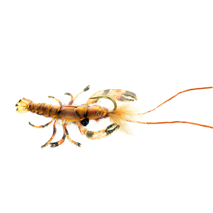 Realistic Crawdad