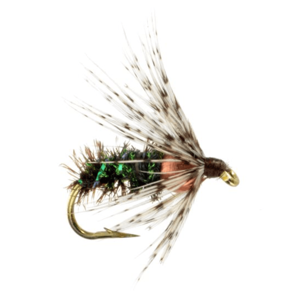 Bead Head Soft Hackle Peacock / Soft Hackle Wet Flies - The Fly Crate