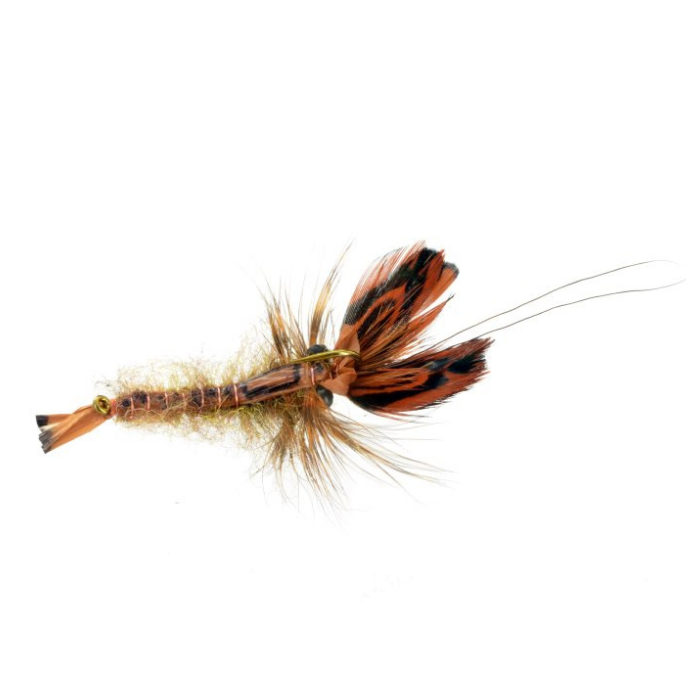 Softshell Crayfish – The Fly Crate