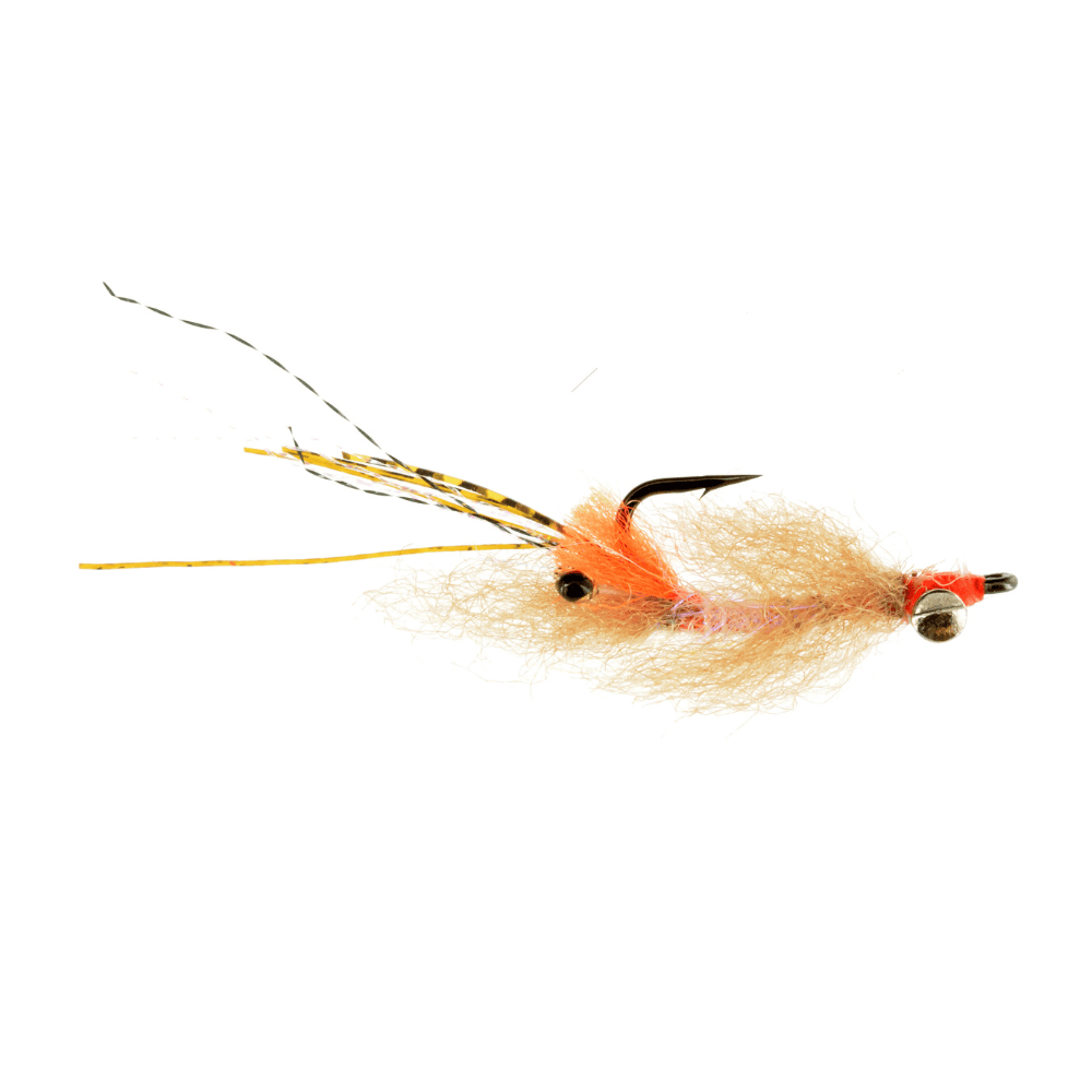 Spawning Shrimp