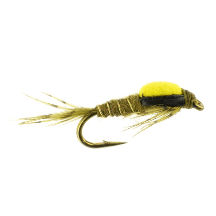 Split-Back BWO