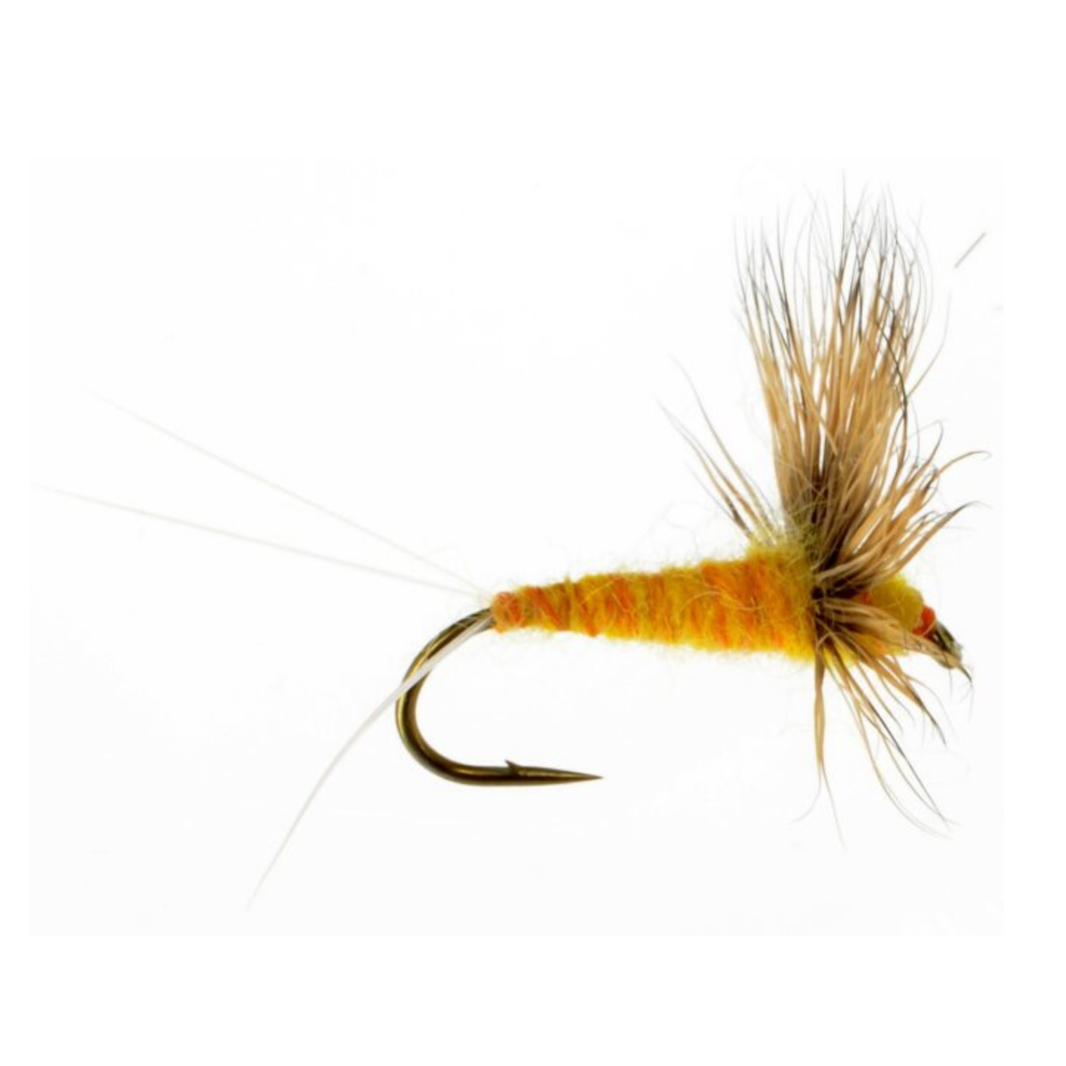 Mayfly Patterns – The Fly Crate