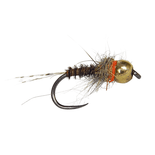 UV Pheasant Tail Frenchie