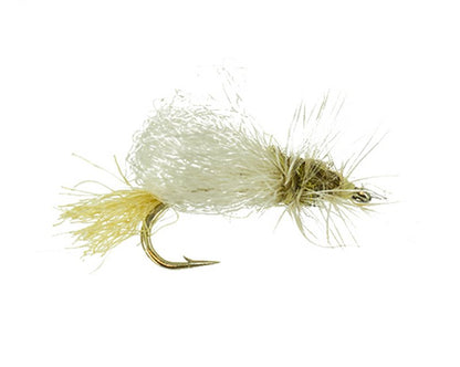 Wiese's Clacka Caddis