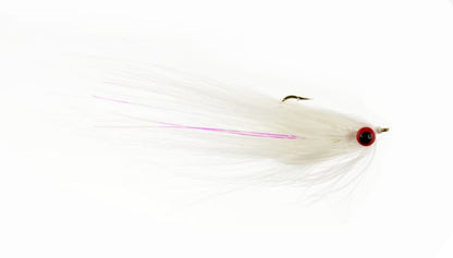 Austin Adduci's Shake Dat