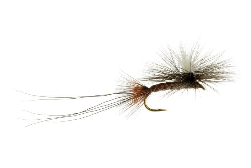 Dark Roberts Iso / Dry Fly / The Fly Crate