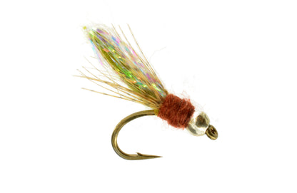 Flashback Caddis Pupa