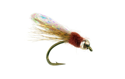 Flashback Caddis Pupa