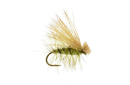 Foam Body Elk Hair Caddis