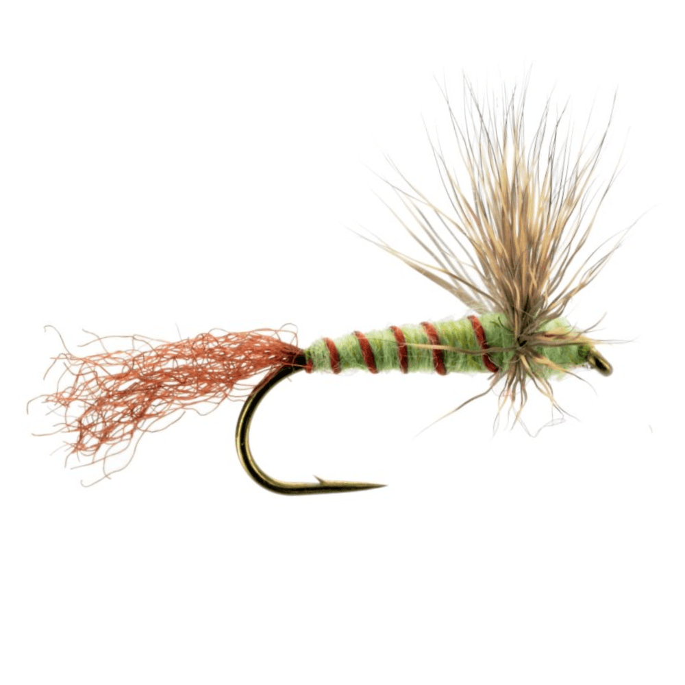 Green Drake Sparkle Dun / Dry Fly / The Fly Crate