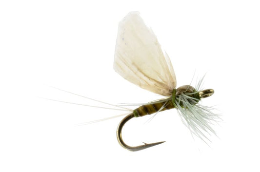 Blue Wing Olive Hackle Dun