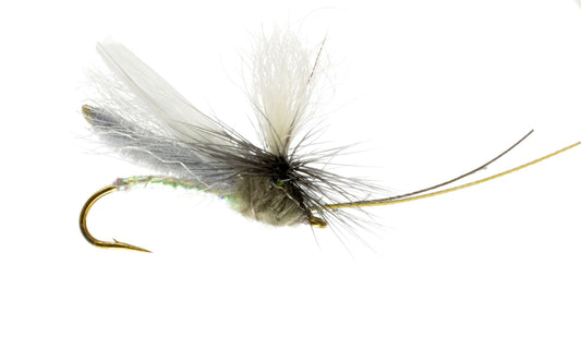 Headlight Caddis